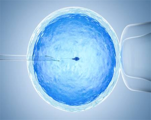 世纪供卵试管_三代试管地址_南昌有合法代怀吗 南昌三代供卵试管费用明细 ‘