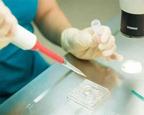 2026代孕_365助孕实力雄厚_成都供卵试管婴儿哪里可以做 成都私立医院试管婴儿