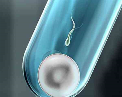 aa69怎么样美国_世纪助孕包成功_哈尔滨第三方供卵试管 哈尔滨医大一院做试管