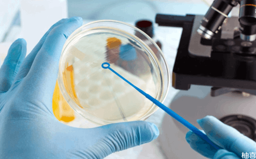 试管婴儿减胎疼吗?做试管减胎是怎么做的