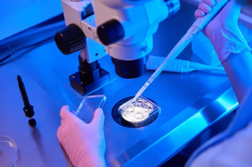 试管婴儿或者代孕的孕妈妈为什么会去做亲子鉴定？