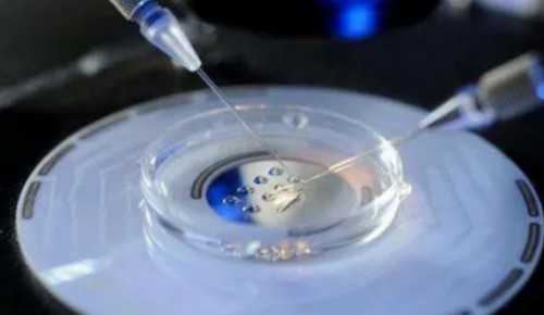 上思代孕选男女_aa69吕进峰集团|2026揭阳试管医院成功率排行大公开,想选性别