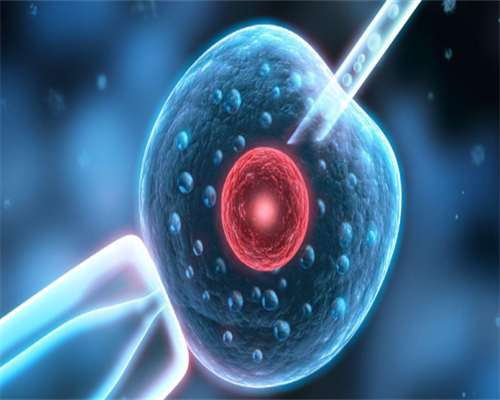 2026
年郴州市第一人民医院三代试管要多少钱吗?郴州市第一人民医院三代试管