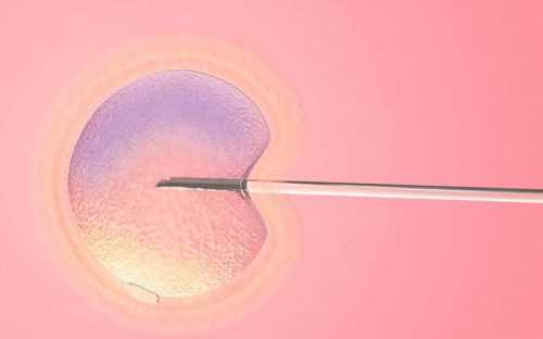 借卵代怀价格_代怀包成功价格_武汉同济医院生殖科做试管找哪个医生移植比较