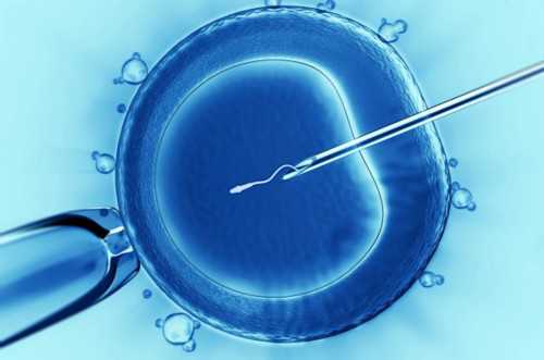 三代试管选男孩_二代试管供卵婴儿_东莞职业供卵试管地址 东莞三代试管费用多