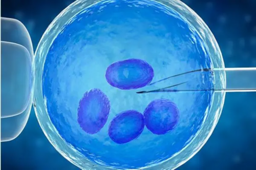 合肥正规试管代怀|池州三代试管婴儿最全详细流程，合肥三代试管婴儿费用