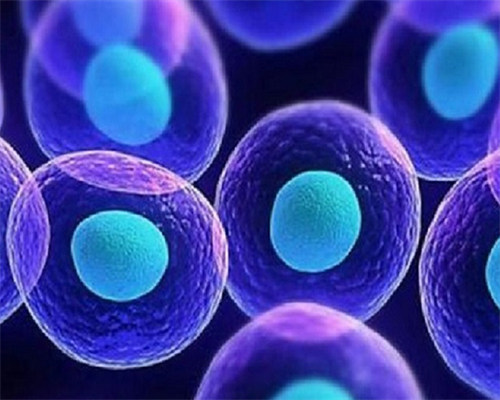 成都有没有不用结婚证也能做试管的机构？