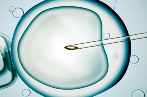 合肥能做借卵试管婴儿 2026合肥试管婴儿医院排名揭晓,教你如何选择最好的