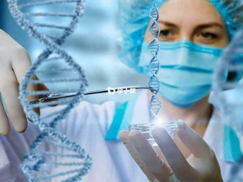 合肥代孕套餐公司|做试管是芜湖好还是南京好(大家觉得南京和合肥哪些医院做