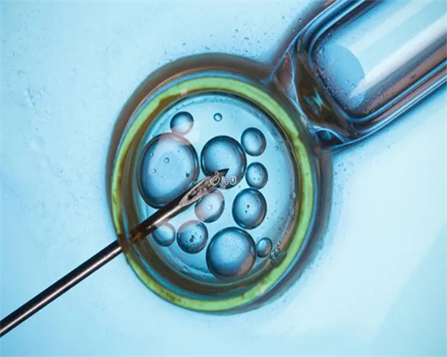 九院供卵试管_三代试管是有创|做试管漯河哪家医院比较好_漯河哪个医院看不孕