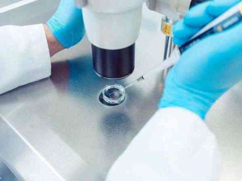 南昌正规代孕网服务中心|N70Id_65ePj_Y1ji9_97850_着床成功排出的白带长啥样？有图