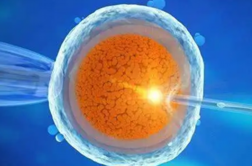 双胞胎代怀网_代怀孕保密咨询_黑龙江试管婴儿成功率是多少技术怎么样