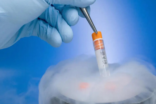 代怀孕急救小游戏_代怀价钱_2026枣庄可以做试管婴儿的正规医院都有哪些