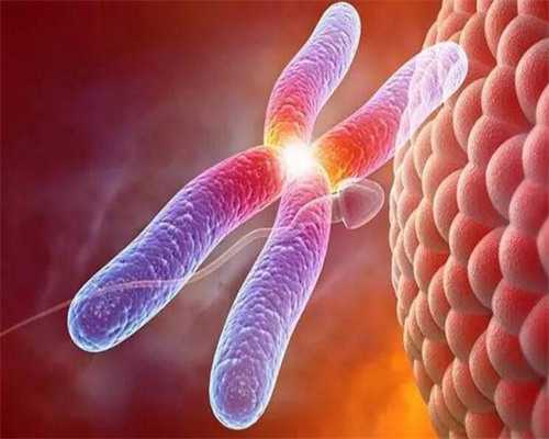 代怀宝宝男孩子_最新代怀价格_抚州可以做三代试管的医院抚州可以做三代试管