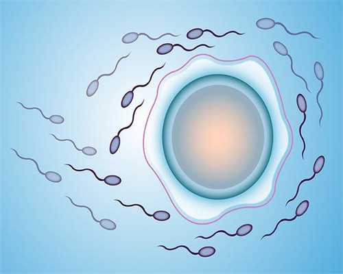 合肥哪里供卵机构 合肥做试管婴儿多少钱 ‘2026年到2026年七个月四维自己看到