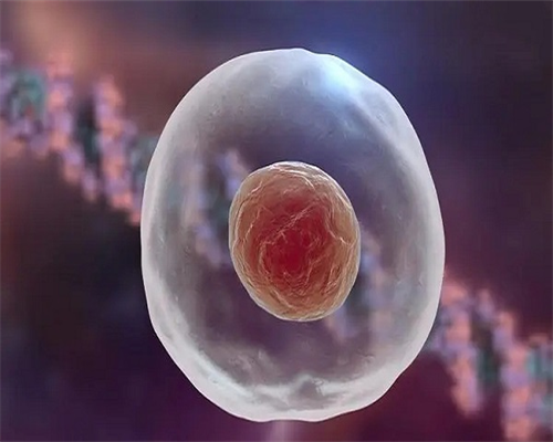 什么叫借卵生子_365助孕联系电话_t2763_4nQru_一对地贫夫妇的健康宝宝_c212L_20074