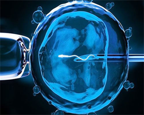 多囊试管婴儿促排后卵泡太多,但是不成熟怎么办?