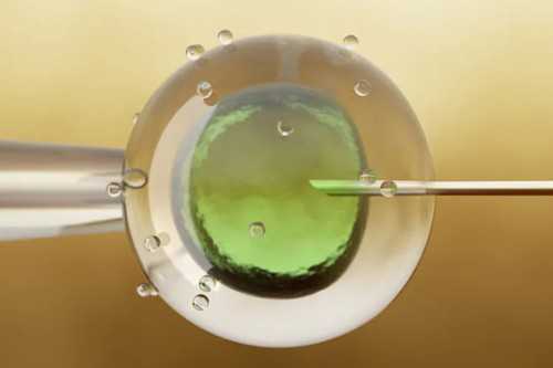 代怀包成功价格_代怀儿子_天冷了,试管婴儿移植后能吃火锅吗?