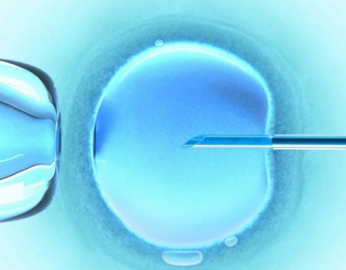 代怀孕机构价钱_代怀小孩哪家正规_B7S9y_试管婴儿背后的“千亿蛋糕”