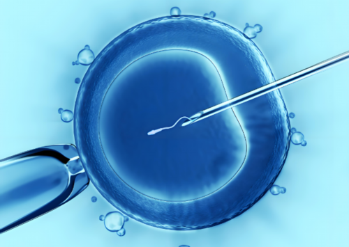 滇西南首例第二代试管婴儿在普洱市人民医院顺利诞生