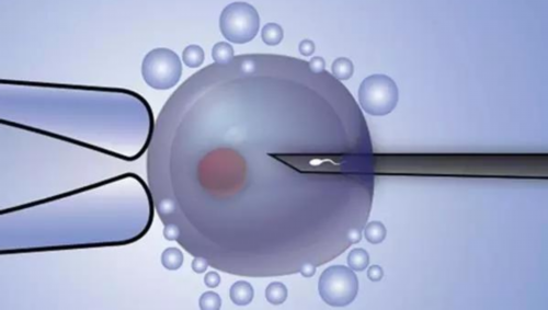 42953_美国试管婴儿移植后腹泻影响成功率吗?