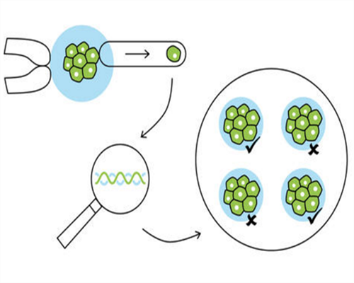 准备做试管婴儿的女性,这些注意事项你都知道吗?