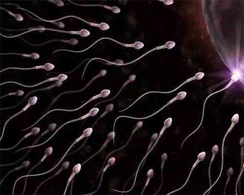 代怀生子保密咨询_代怀网成功率高吗_2026枣庄试管婴儿医院排名,附成功率及费