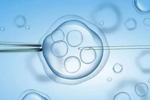 找人代生多少钱_代生公司哪家专业|近期公布石家庄试管助孕机构排行榜,附