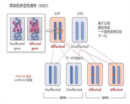代生代生医院_合法代生大约咨询|石家庄三代试管助孕医院