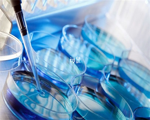 三代试管助孕微信群_50岁借卵子成功率_温州供卵试管哪里有 温州有私立试管婴