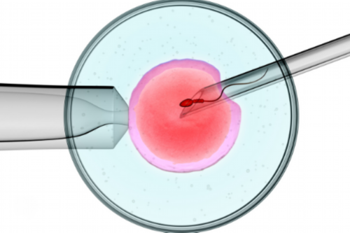 代怀产子_代怀孕如何拟标题_2026大连试管婴儿医院排名，附试管费用、成功率一