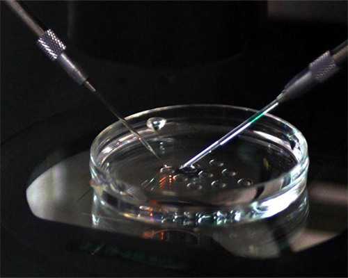 美国试管单精子注射形成的胚胎，质量好吗？