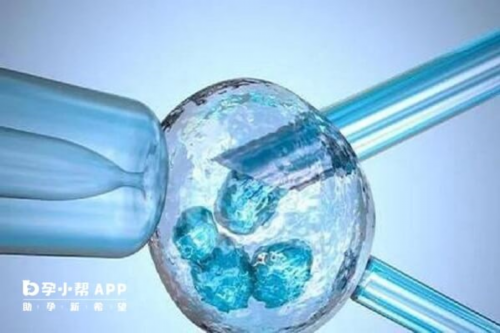 合肥去试管代怀|池州三代试管婴儿最全详细流程，合肥三代试管婴儿费用