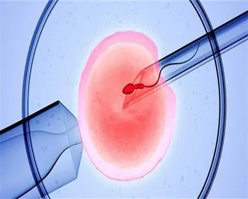 合肥滨湖孕妇建卡流程(合肥试管婴儿医院排名)