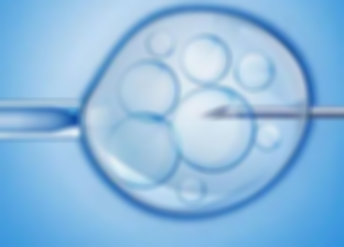 商洛哪里有能做供卵的正规试管机构？