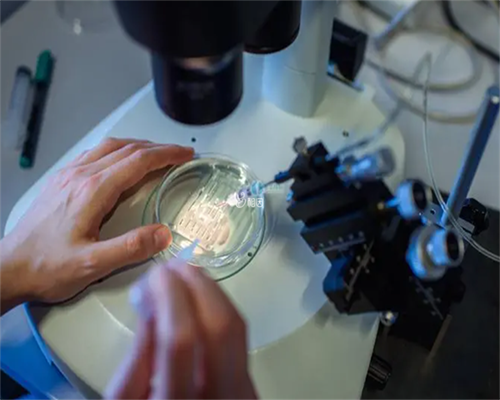 试管婴儿或者代孕的孕妈妈为什么会去做亲子鉴定?