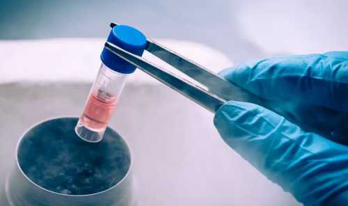 合肥代孕送子指南 合肥捐卵试管医院排名已公布 ‘孕囊在下面是男孩女孩’