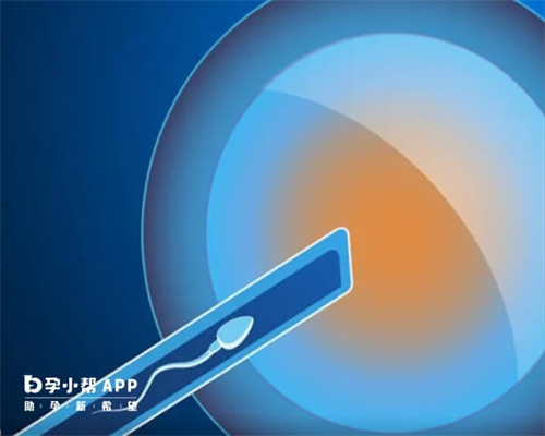 合肥试管婴儿医院排名,合肥省立医院试管婴儿费用