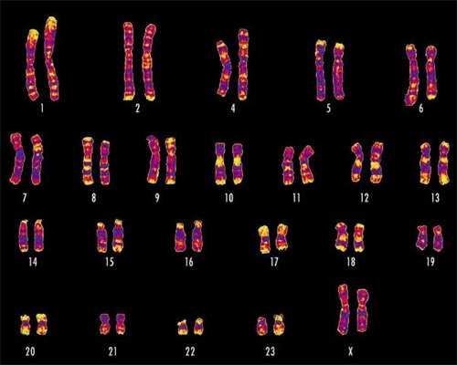 3代试管供卵_代妈公告_南昌代怀孕供卵试管网 南昌生殖医院哪些医生试管婴儿