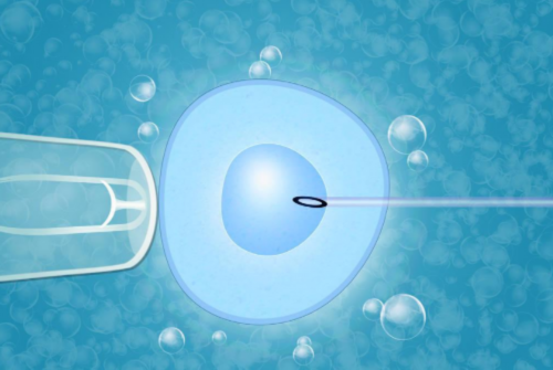 安徽助孕价格,安徽代生男孩,安徽代生妈妈,安徽植发哪家医院好?安徽鹏程医院