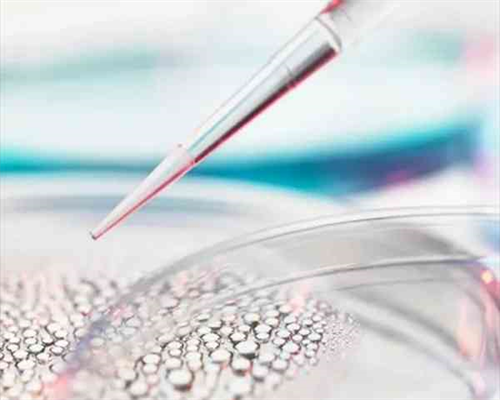 合肥试管婴儿医院合肥哪里可以做三代试管