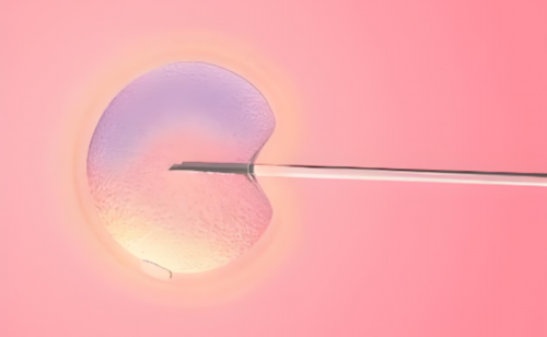 代生宝宝合法吗_代生儿子怎么样|云南可以做三代供卵试管的医院有哪些？附云