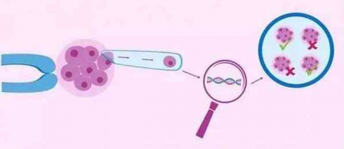 人工受孕的价格_代怀产子包性别|涿州二康能做试管吗,全程要多长时间?