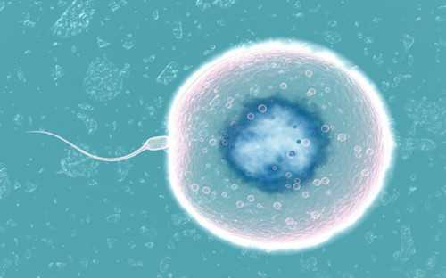 代生微信群_2026代生|云南试管婴儿纳入医保了吗？附云南试管婴儿具体费用明细