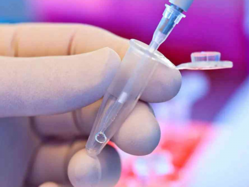 代怀价格表哪里有_捐卵代怀_瑞金试管成功率怎么样？这些因素正在悄悄影响着