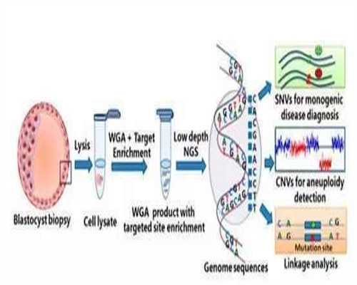 包性别代生网_求代生孩子女生|石家庄妇产医院试管婴儿日记，2026助孕成功率与