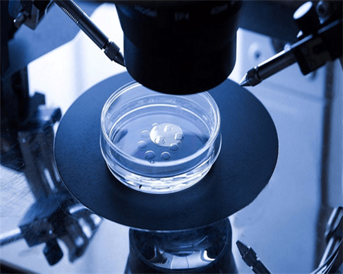 01623_一对地贫夫妇的健康宝宝