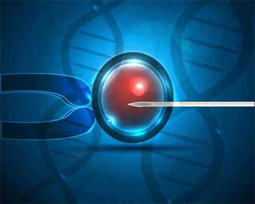 试管婴儿或者代孕的孕妈妈为什么会去做亲子鉴定？