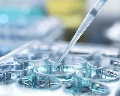 试管婴儿或者代孕的孕妈妈为什么会去做亲子鉴定？