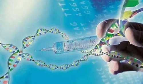 哈尔滨能做三代试管婴儿的公立医院有哪些？